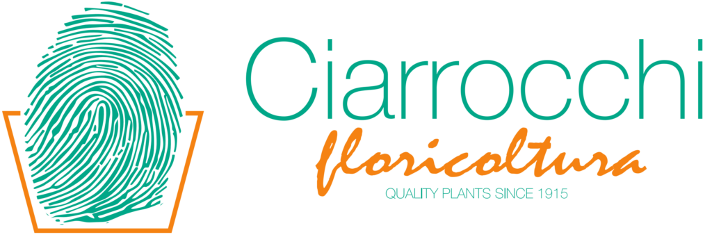 logo CIARROCCHI floricoltura_001_H logo CIARROCCHI floricoltura_001_H